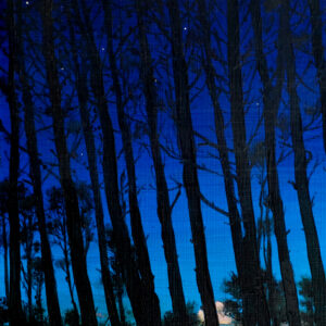 The moon coming to hide the stars - Painting