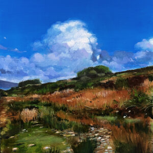 Evening cloud rising over the gorse, Ballycroy - Painting